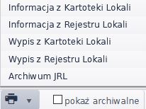 Widok okna z opcjami wydruku raportów po najechaniu kursorem na ikonę drukarki